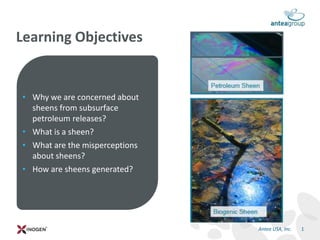 • Why we are concerned about
sheens from subsurface
petroleum releases?
• What is a sheen?
• What are the misperceptions
about sheens?
• How are sheens generated?
Learning Objectives
1Antea USA, Inc.
 