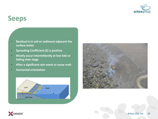 • Residual is in soil or sediment adjacent the
surface water
• Spreading Coefficient (S) is positive
• Mostly occur intermittently at low tide or
falling river stage
• After a significant rain event or snow melt
• Horizontal orientation
Seeps
19Antea USA, Inc.
 