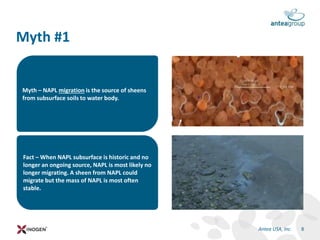 Fact – When NAPL subsurface is historic and no
longer an ongoing source, NAPL is most likely no
longer migrating. A sheen from NAPL could
migrate but the mass of NAPL is most often
stable.
Myth – NAPL migration is the source of sheens
from subsurface soils to water body.
Myth #1
8Antea USA, Inc.
 