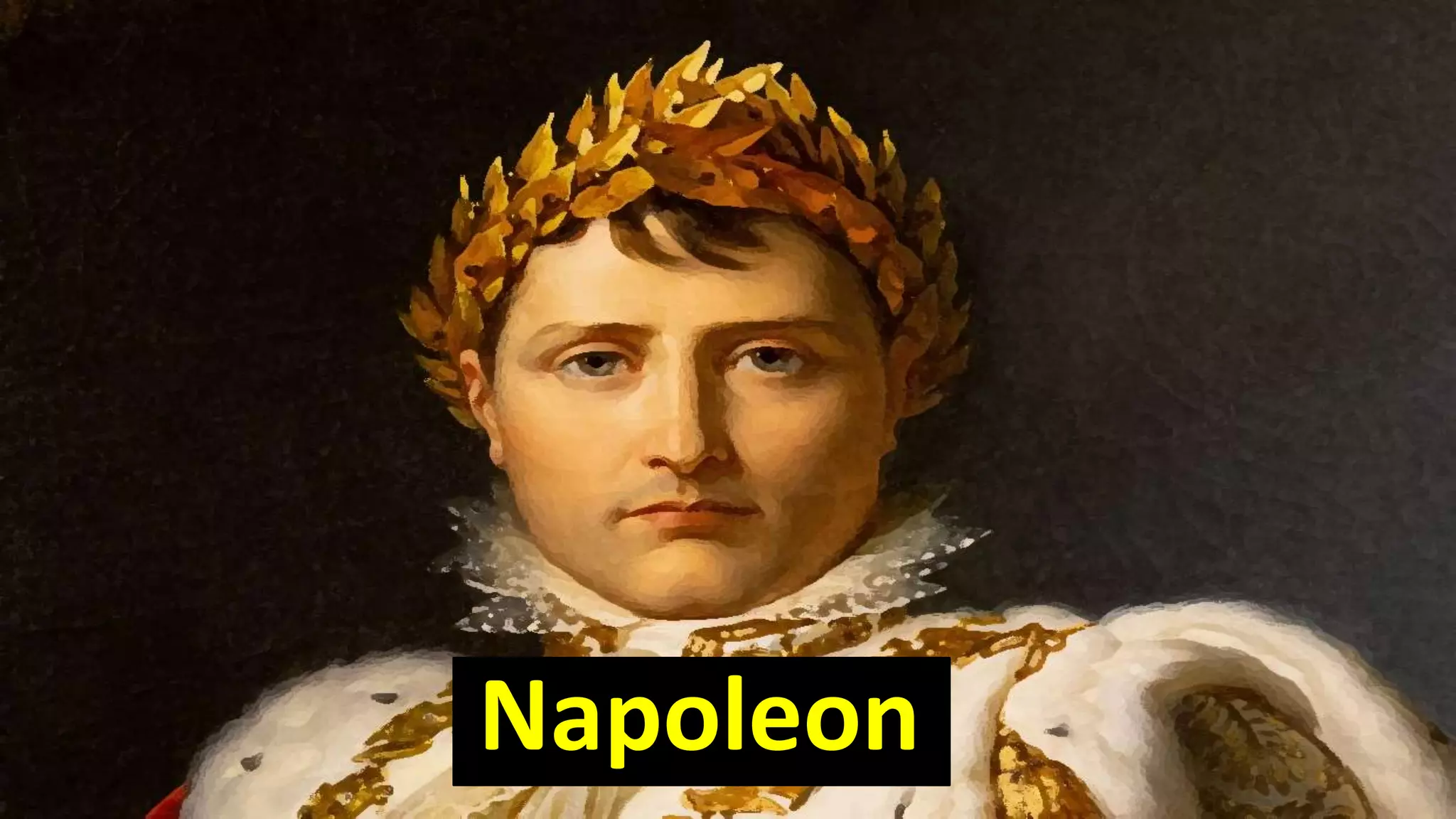 Napolean.pptx