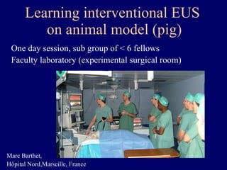 Learning interventional EUS  on animal model (pig) One day session, sub group of < 6 fellows Faculty laboratory (experimental surgical room) Marc Barthet, Hôpital Nord,Marseille, France 