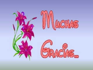 IMÁGENES<br />Los padres de Napoleón<br />Guerra  contra Egipto<br />