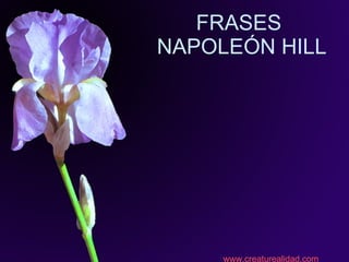 FRASES  NAPOLEÓN HILL www.creaturealidad.com 