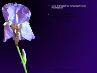 Estilo de Diapositivas marca registrada de Powerbacks®   Presentación creada para: www.creaturealidad.com Presentación creada por: Soluciones en Sistemas [email_address] 