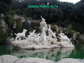 REGGIA PARTE ALTA 