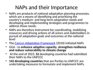 National Adaptation Plan for Zambia: Its Importance, The Process ...