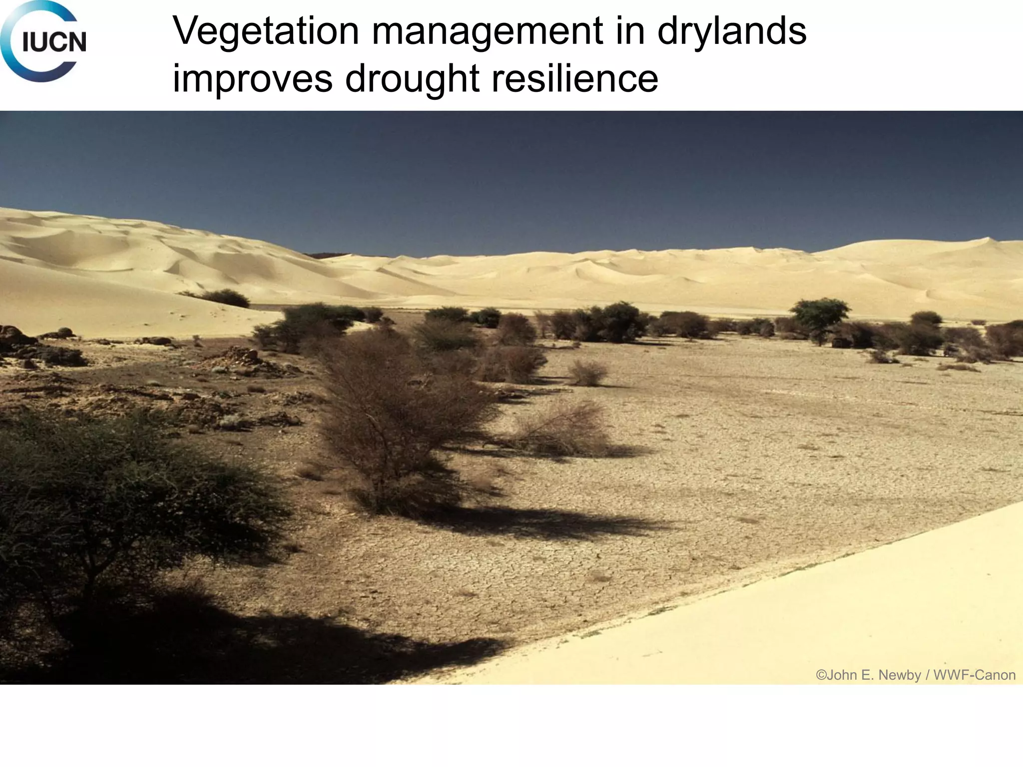 Mitigation: Vegetation management in drylands
improves drought resilience
©John E. Newby / WWF-Canon
Vegetation management in drylands
improves drought resilience
 
