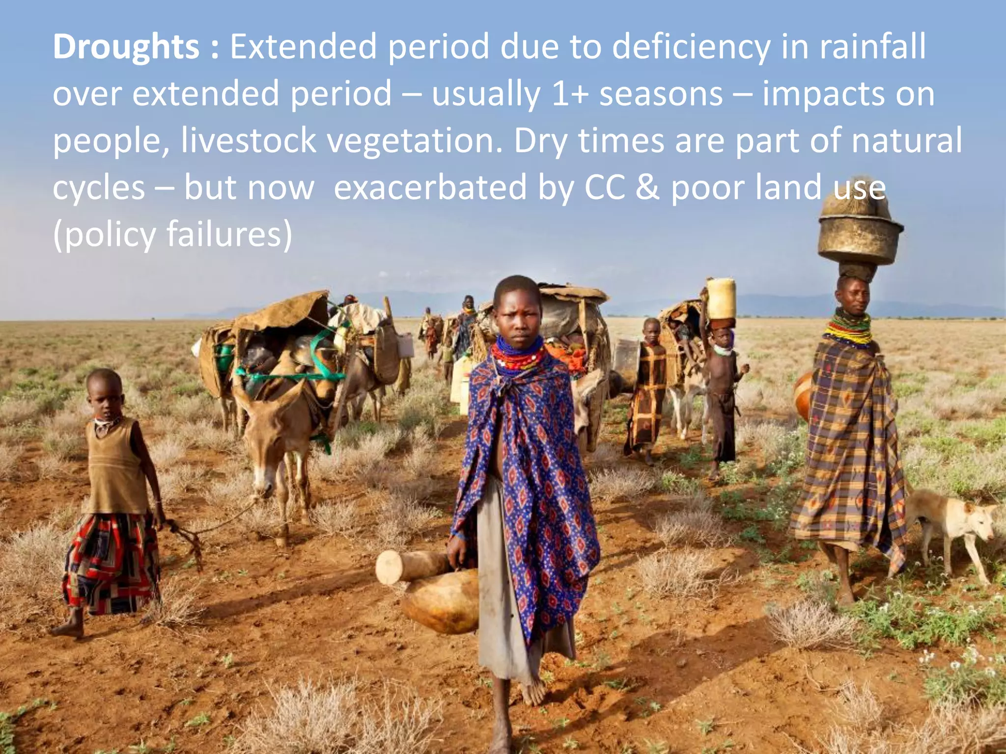 Prosopis – well meaning
development becoming an
environmental disaster• Highly invasive
• Management helps (e.g. cutting & use for
charcoal, fuel) but not enough
• Needs bio-control
Droughts : Extended period due to deficiency in rainfall
over extended period – usually 1+ seasons – impacts on
people, livestock vegetation. Dry times are part of natural
cycles – but now exacerbated by CC & poor land use
(policy failures)
 