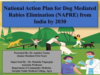 NAPRE_Rabies_Seminar_40_Slides.pptxegdgg | PPTX