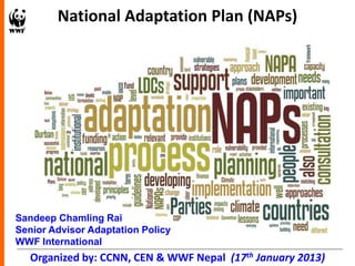National Adaptation Plan (NAPs)




Sandeep Chamling Rai
Senior Advisor Adaptation Policy
WWF International
   Organized by: CCNN, CEN & WWF Nepal (17th January 2013)
 
