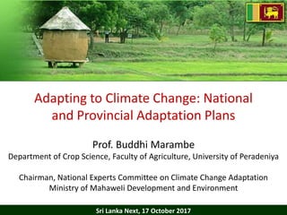 Adapting to Climate Change: National and Provincial Adaptation Plans | PPTX