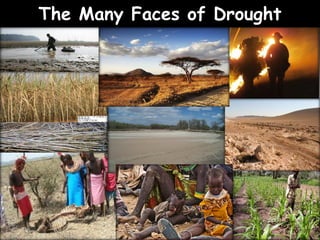 Donald Wilhite, University of Lincoln: Integrated national drought management
