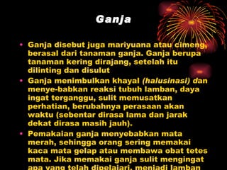 Ganja Ganja disebut juga mariyuana atau cimeng, berasal dari tanaman ganja. Ganja berupa tanaman kering dirajang, setelah itu dilinting dan disulut Ganja menimbulkan khayal  (halusinasi) d an menye­babkan reaksi tubuh lamban, daya ingat terganggu, sulit memusatkan perhatian, berubahnya perasaan akan waktu (sebentar dirasa lama dan jarak dekat dirasa masih jauh). Pemakaian ganja menyebabkan mata merah, sehingga orang sering memakai kaca mata gelap atau membawa obat tetes mata. Jika memakai ganja sulit mengingat apa yang telah dipelajari, menjadi lamban dan bodoh. Semangat dan cita-cita turun, sehingga terancam putus sekolah 