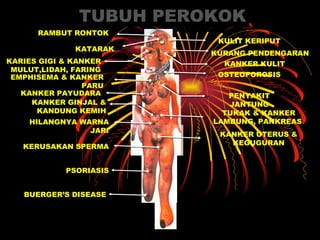 TUBUH PEROKOK RAMBUT RONTOK KATARAK KULIT KERIPUT KURANG PENDENGARAN KANKER KULIT KARIES GIGI & KANKER MULUT,LIDAH, FARING EMPHISEMA & KANKER PARU OSTEOPOROSIS PENYAKIT JANTUNG TUKAK & KANKER LAMBUNG, PANKREAS  HILANGNYA WARNA JARI KANKER UTERUS & KEGUGURAN KERUSAKAN SPERMA PSORIASIS BUERGER’S DISEASE KANKER GINJAL & KANDUNG KEMIH KANKER PAYUDARA 