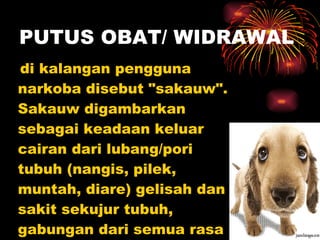 PUTUS OBAT/ WIDRAWAL di kalangan pengguna narkoba disebut "sakauw". Sakauw digambarkan sebagai keadaan keluar cairan dari lubang/pori tubuh (nangis, pilek, muntah, diare) gelisah dan sakit sekujur tubuh, gabungan dari semua rasa sakit/nyeri yang hebat  