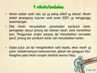 Page 28
• Nikotin adalah salah satu zat yg paling adiktif yg dikenal. Nikotin
adalah perangsang susunan saraf pusat (SSP) yg mengganggu
keseimbangan.
• Efek nikotin menyebabkan penyempitan pembuluh darah,
peningkatan denyut jantung dan tekanan darah, serta memerihkan
paru. Penggunaan jangka panjang dpt menyebabkan kerusakan
paru2, jantung dan pembuluh darah, dan menyebabkan kanker.
• Gejala putus zat dpt mengakibatkan sakit kepala, lekas marah yg
parah, ketidakmampuan berkonsentrasi, gelisah dan gangguan tidur.
Ketagihan pada nikotin mungkin bertahan seumur hidup.
 