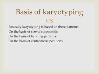 
Basically karyotyping is based on three patterns
On the basis of size of chromatids
On the basis of bending patterns
On the basis of centromeric positions
Basis of karyotyping
 
