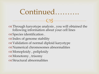 
 Through karyotype analysis , you will obtained the
following information about your cell lines
 Species identification .
 Index of genome stability
 Validation of normal diploid karyotype
 Numerical chromosomes abnormalities
 Monoploidy , poliploidy
 Monotomy , trisomy
 Structural abnormalities
Continued……….
 