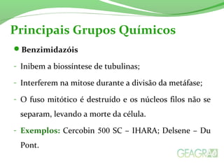 Principais Grupos Químicos 
Benzimidazóis 
- Inibem a biossíntese de tubulinas; 
- Interferem na mitose durante a divisão da metáfase; 
- O fuso mitótico é destruído e os núcleos filos não se 
separam, levando a morte da célula. 
- Exemplos: Cercobin 500 SC – IHARA; Delsene – Du 
Pont. 
 