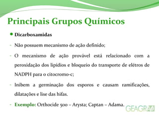 Principais Grupos Químicos 
Dicarboxamidas 
- Não possuem mecanismo de ação definido; 
- O mecanismo de ação provável está relacionado com a 
peroxidação dos lipídios e bloqueio do transporte de elétros de 
NADPH para o citocromo-c; 
- Inibem a germinação dos esporos e causam ramificações, 
dilatações e lise das hifas. 
- Exemplo: Orthocide 500 – Arysta; Captan – Adama. 
 