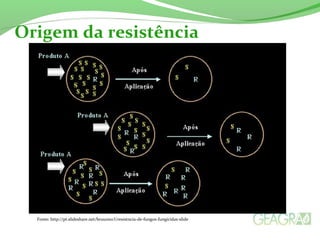 Origem da resistência 
Fonte: http://pt.slideshare.net/bruunno3/resistncia-de-fungos-fungicidas-slide 
 
