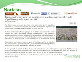 Notícias 
Fonte: http://www.agrolink.com.br/noticias/excesso-de-chuvas-levou-produtores-a-optarem-pelo-cultivo-do-algodao-segunda-safra- 
em-mt_202928.html 
 