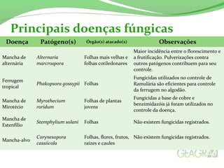 Principais doenças fúngicas 
Doença Patógeno(s) Órgão(s) atacado(s) Observações 
Mancha de 
alternária 
Alternaria 
marcrospora 
Folhas mais velhas e 
folhas cotiledonares 
Maior incidência entre o florescimento e 
a frutificação. Pulverizações contra 
outros patógenos contribuem para seu 
controle. 
Ferrugem 
tropical Phakopsora gossypii Folhas 
Fungicidas utilizados no controle de 
Ramulária são eficientes para controle 
da ferrugem no algodão. 
Mancha de 
Mirotécio 
Myrothecium 
roridum 
Folhas de plantas 
jovens 
Fungicidas a base de cobre e 
benzimidazóis já foram utilizados no 
controle da doença. 
Mancha de 
Estenfílio Stemphylium solani Folhas Não existem fungicidas registrados. 
Mancha-alvo Corynesopora 
cassiicola 
Folhas, flores, frutos, 
raízes e caules 
Não existem fungicidas registrados. 
 