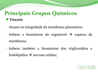 Principais Grupos Químicos 
Triazóis 
- Atuam na integridade da membrana plasmática; 
- Inibem a biossíntese do ergosterol  ruptura da 
membrana; 
- Inibem também a biossíntese dos triglicerídios e 
fosfolipídios  necrose celular; 
 