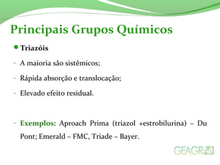 Principais Grupos Químicos 
Triazóis 
- A maioria são sistêmicos; 
- Rápida absorção e translocação; 
- Elevado efeito residual. 
- Exemplos: Aproach Prima (triazol +estrobilurina) – Du 
Pont; Emerald – FMC, Triade – Bayer. 
 
