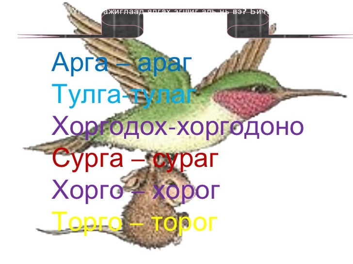 Naraa 2в ялгах эгшиг цахим хичээл