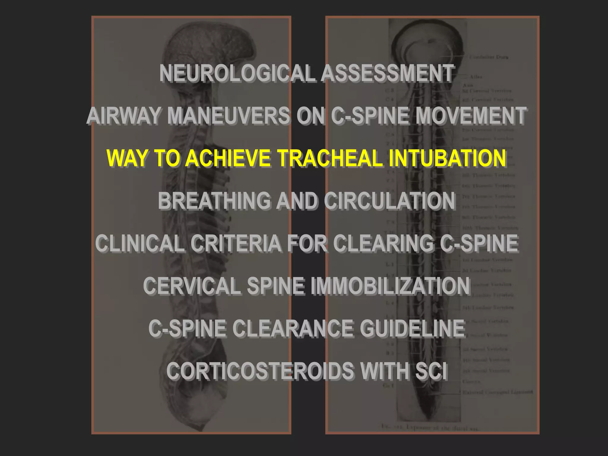 NEUROLOGICAL ASSESSMENT
AIRWAY MANEUVERS ON C-SPINE MOVEMENT
WAY TO ACHIEVE TRACHEAL INTUBATION
BREATHING AND CIRCULATION
CLINICAL CRITERIA FOR CLEARING C-SPINE
CERVICAL SPINE IMMOBILIZATION
C-SPINE CLEARANCE GUIDELINE
CORTICOSTEROIDS WITH SCI
 