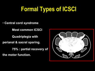 • Central cord syndrome
Most common ICSCI
Quadriplegia with
perianal & sacral sparing.
75% : partial recovery of
the motor function.
Formal Types of ICSCI
 