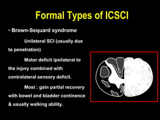 • Brown-Sequard syndrome
Unilateral SCI (usually due
to penetration)
Motor deficit ipsilateral to
the injury combined with
contralateral sensory deficit.
Most : gain partial recovery
with bowel and bladder continence
& usually walking ability.
Formal Types of ICSCI
 