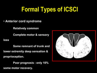 • Anterior cord syndrome
Relatively common
Complete motor & sensory
loss
Some remnant of trunk and
lower extremity deep sensation &
proprioception.
Poor prognosis : only 10%
some motor recovery.
Formal Types of ICSCI
 