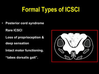 • Posterior cord syndrome
Rare ICSCI
Loss of proprioception &
deep sensation
Intact motor functioning.
“tabes dorsalis gait”.
Formal Types of ICSCI
 