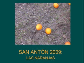 SAN ANTÓN 2009: LAS NARANJAS 