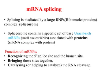 mRNA splicing 
• Splicing is mediated by a large RNPs(Ribonucleoproteins) 
complex spliceosome 
• Spliceosome contains a specific set of base Uracil-rich 
snRNPs (small nuclear RNPs) associated with proteins 
(snRNA complex with protein) 
Function of snRNPs: 
• Recognizing the 5’ splice site and the branch site. 
• Bringing those sites together. 
• Catalyzing (or helping to catalyze) the RNA cleavage. 
11 
 
