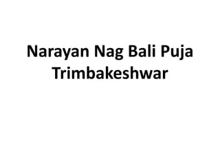 Narayan Nag Bali Puja
Trimbakeshwar
 