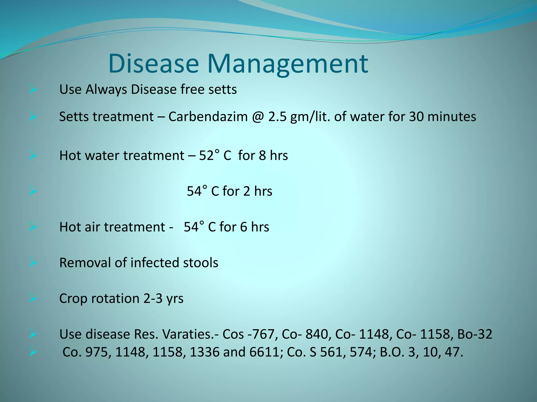 Disease Management
 Use Always Disease free setts
 Setts treatment – Carbendazim @ 2.5 gm/lit. of water for 30 minutes
 Hot water treatment – 52° C for 8 hrs
 54° C for 2 hrs
 Hot air treatment - 54° C for 6 hrs
 Removal of infected stools
 Crop rotation 2-3 yrs
 Use disease Res. Varaties.- Cos -767, Co- 840, Co- 1148, Co- 1158, Bo-32
 Co. 975, 1148, 1158, 1336 and 6611; Co. S 561, 574; B.O. 3, 10, 47.
 