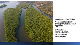 Mangrove Conservation:
A Success Story Built
Through Multidisciplinary
Approach
-N. Vasudevan,
PCCF & MD, FDCM;
Former Head of
Mangrove Cell
 