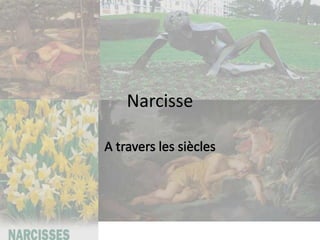Narcisse
 