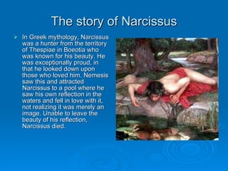 The story of Narcissus In Greek mythology, Narcissus was a hunter from the territory of Thespiae in Boeotia who was known for his beauty. He was exceptionally proud, in that he looked down upon those who loved him. Nemesis saw this and attracted Narcissus to a pool where he saw his own reflection in the waters and fell in love with it, not realizing it was merely an image. Unable to leave the beauty of his reflection, Narcissus died. 