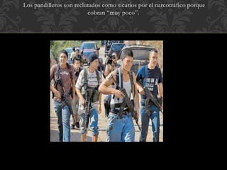 Los pandilleros son reclutados como sicarios por el narcotráfico porque 
cobran “muy poco”. 
 