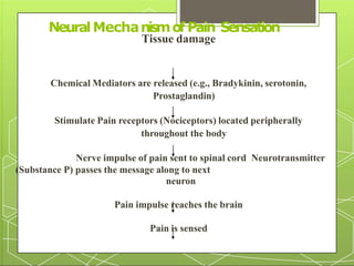 Chemical Mediators are released (e.g., Bradykinin, serotonin,
Prostaglandin)
Stimulate Pain receptors (Nociceptors) located peripherally
throughout the body
Nerve impulse of pain sent to spinal cord Neurotransmitter
(Substance P) passes the message along to next
neuron
Pain impulse reaches the brain
Pain is sensed
NeuralMecha
5
nismof Pain Sensation
Tissue damage
 