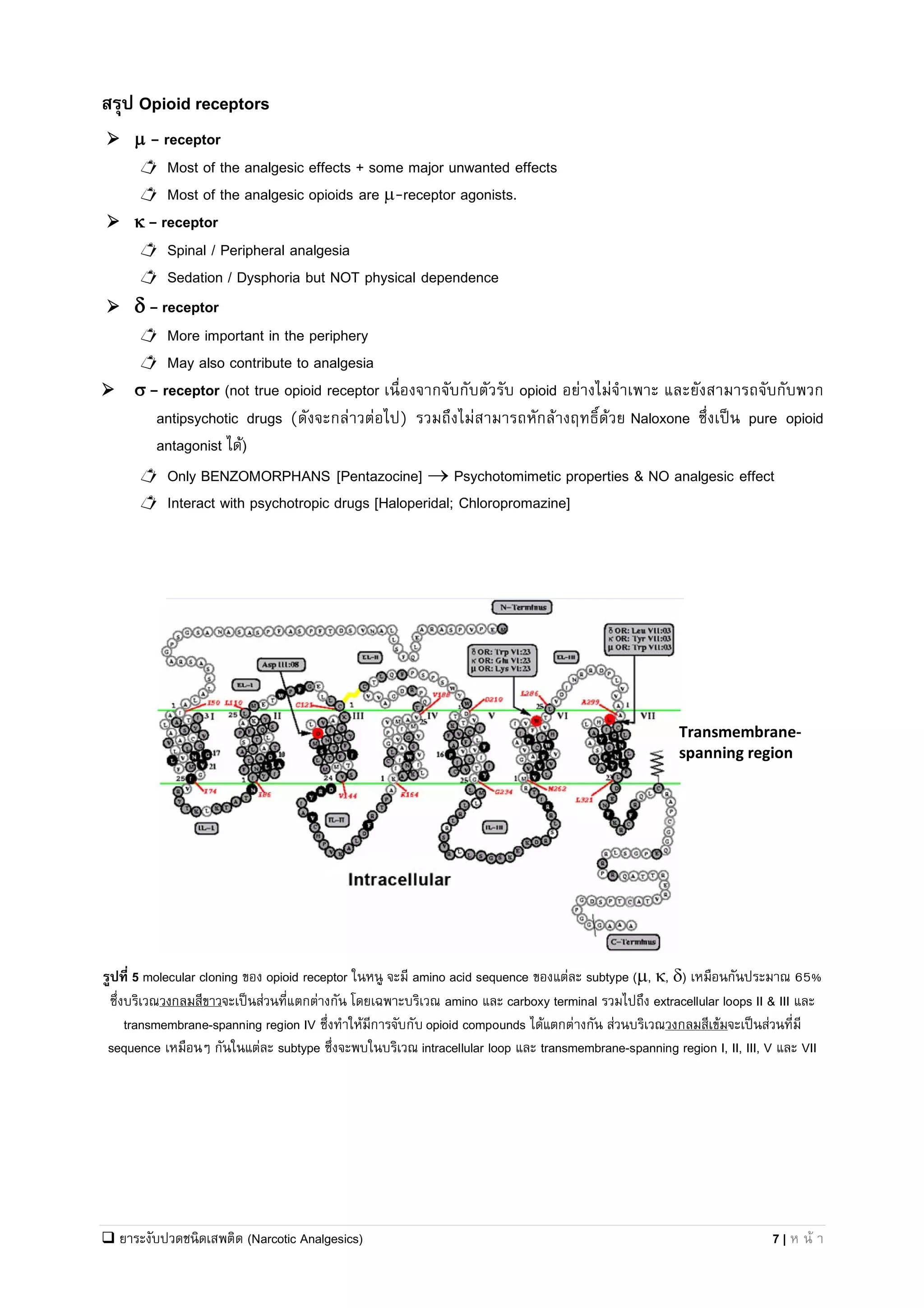 Keep Up With New Opioid Regulations in 2025 - titangroupdea.com