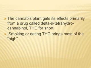  The cannabis plant gets its effects primarily
from a drug called delta-9-tetrahydro-
cannabinol, THC for short.
 Smoking or eating THC brings most of the
“high”
 