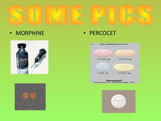 • MORPHINE • PERCOCET
 