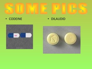• CODEINE • DILAUDID
 