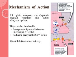 Mechanism of Action
All opioid receptors are G-protein
coupled receptors and inhibit
adenylate cyclase.
They are also involved in
 Postsynaptic hyperpolarization
(increasing K+ efflux)
 Reducing presynaptic Ca++ influx
thus inhibits neuronal activity.
 