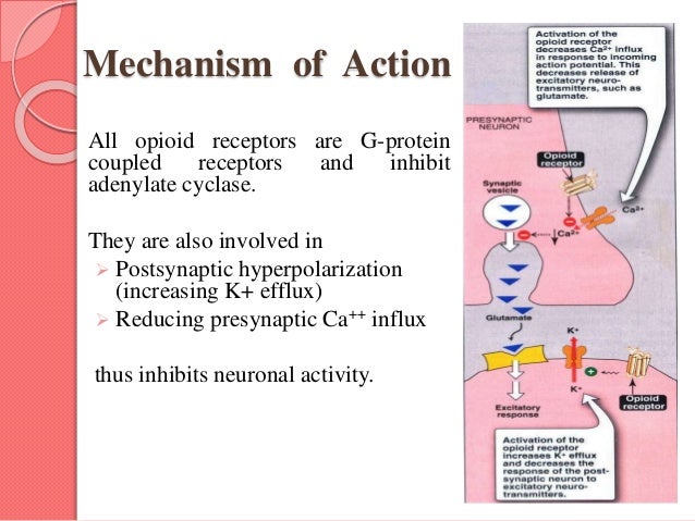 dea tramadol classification and action